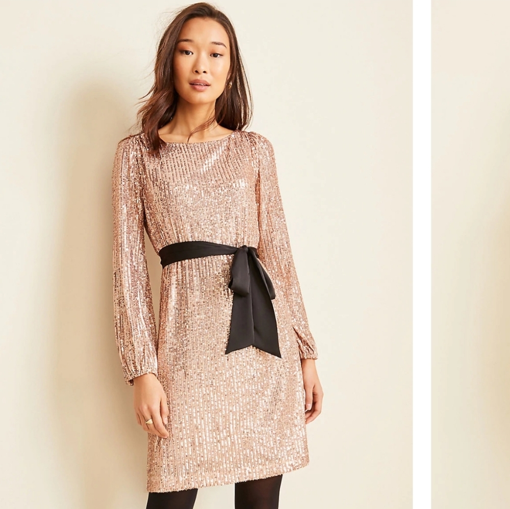 🔥Ann Taylor- Blush Sequin Dress